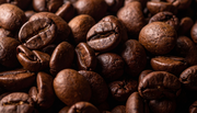 Mycotoxin Free Coffee: How the Mule keeps your beans clean
