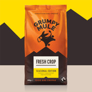 Fresh Crop Kenya