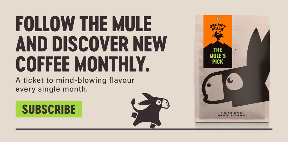 Buy Coffee Online UK | Grumpy Mule