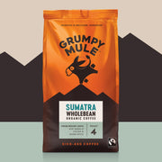 Grumpy Mule