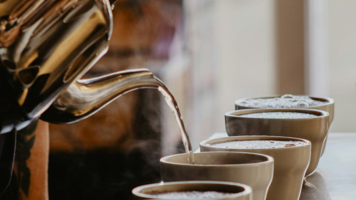 Our Roastery | Grumpy Mule