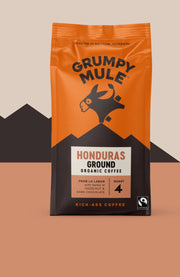 Grumpy Mule