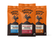 Grumpy Mule